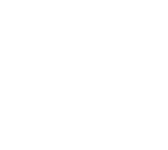 Premium Quality Icon